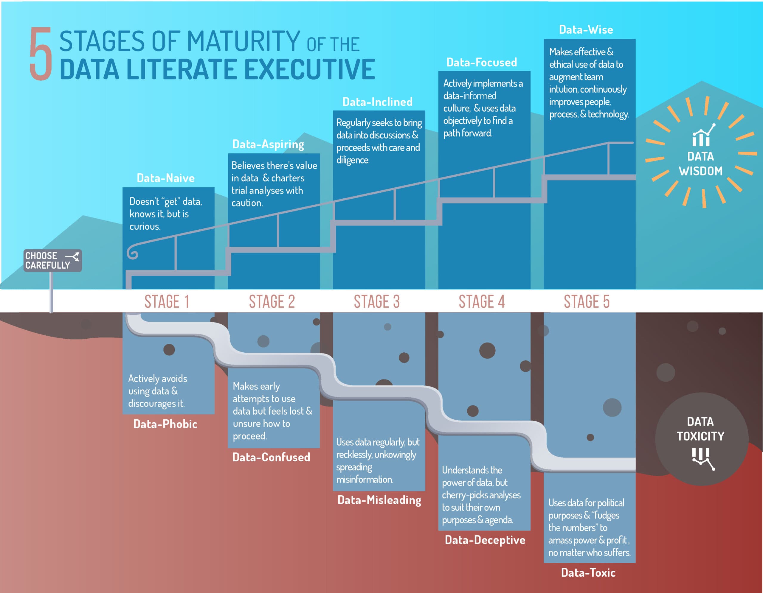 The Data Leadership Maturity Model