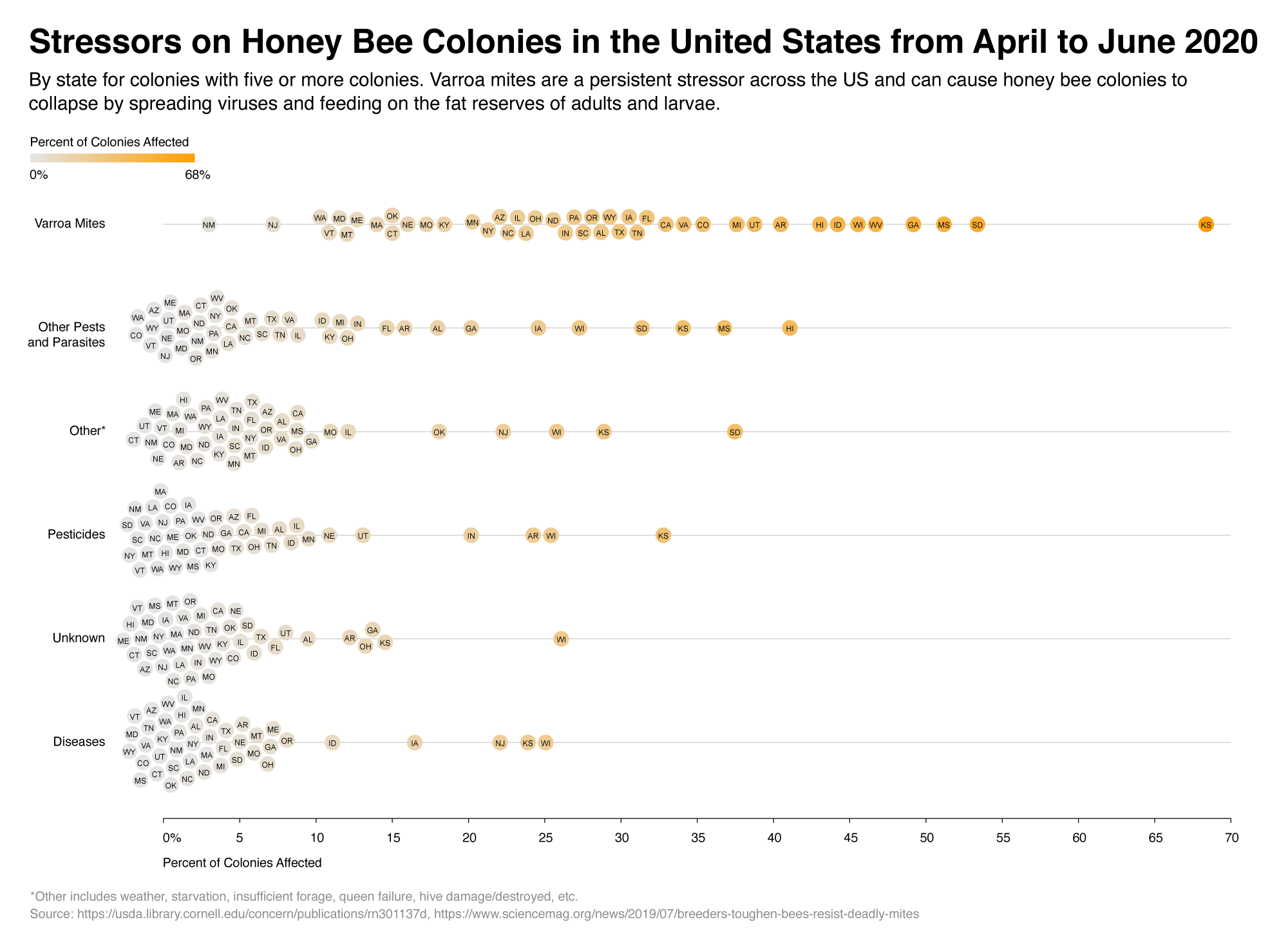 Beeswarm plot showing the different stressors on honey bee colonies across the states in the US. It shows that Varroa Mites are a big stressor in all states compared to the other stressors.
