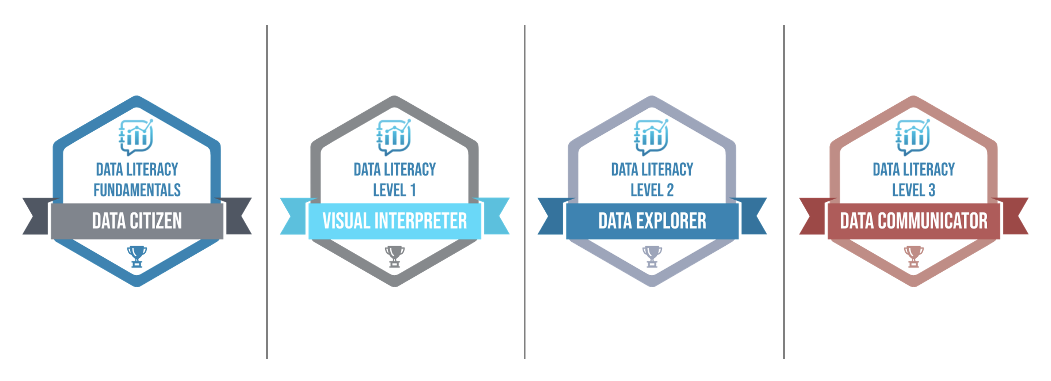 data literacy four levels of badges