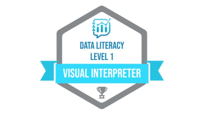 Visual Interpreter Objective Data Literacy Assessment | Data Literacy  