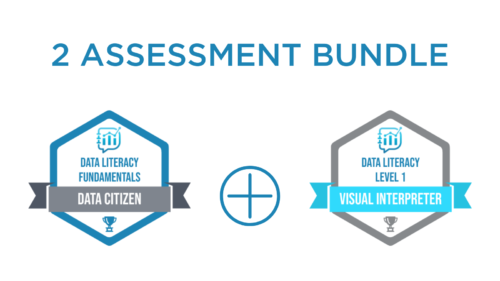 2 Assessment Bundle: Data Citizen & Visual Interpreter Assessments
