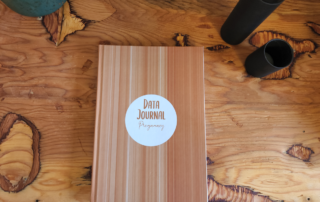 "Data journal: pregnancy" book on wood table