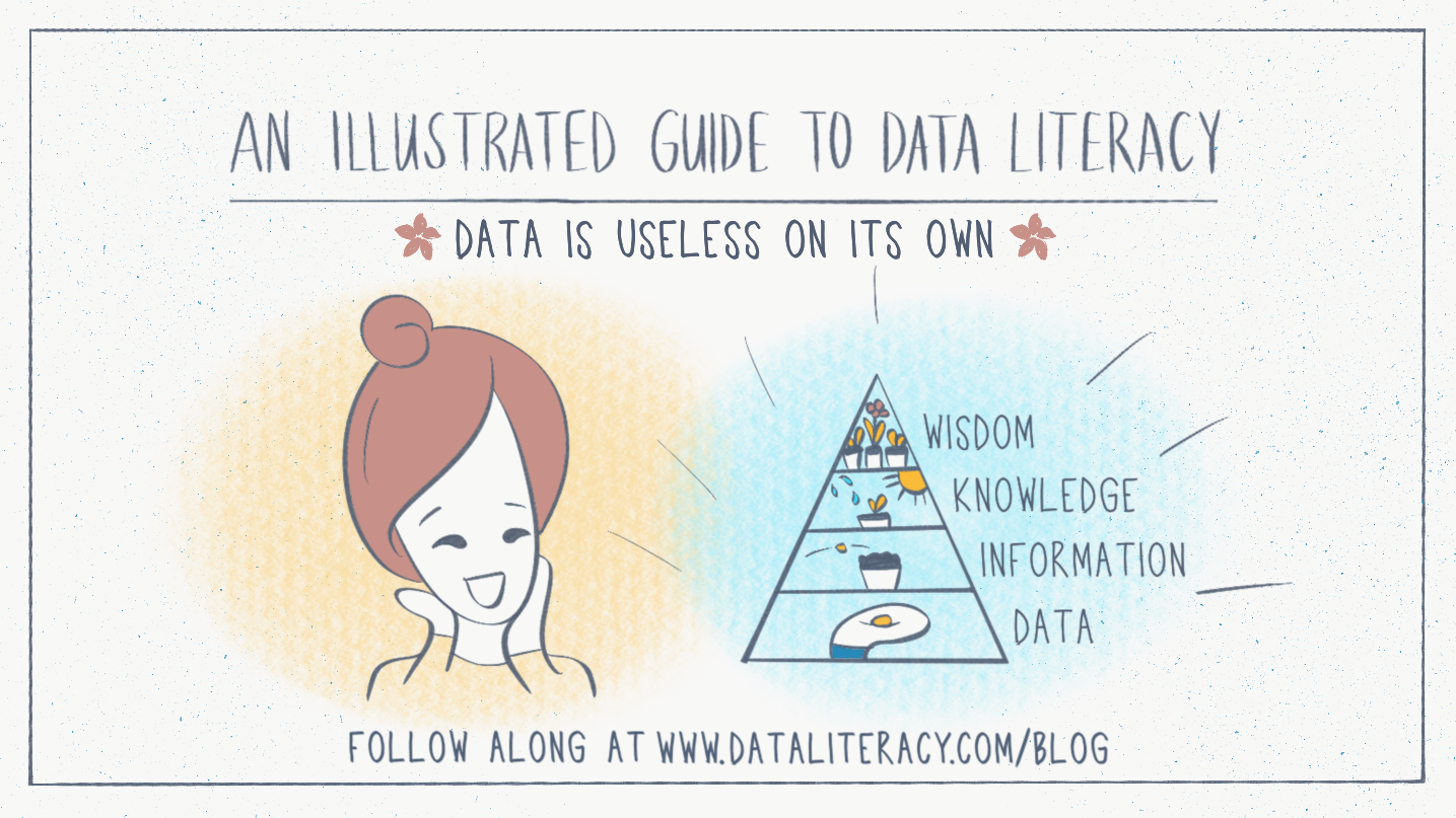 widescreen image that reads An Illustrated Guide to Data Literacy: Data is useless on its own