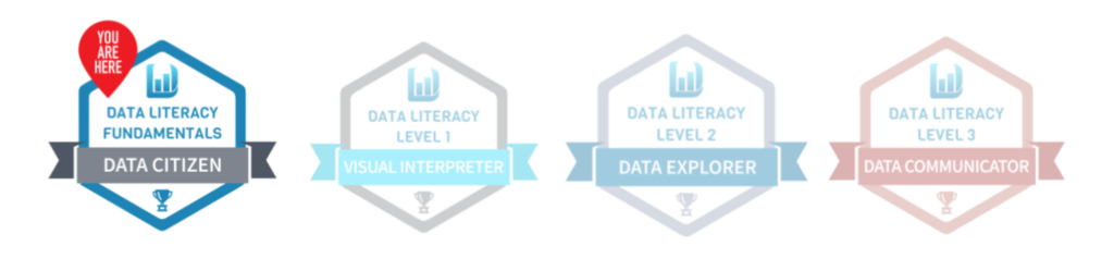 Data Citizen Assessment | Data Literacy  's a red icon that says you are here over Data Citizen.