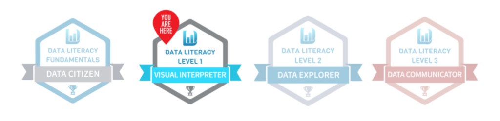 Visual Interpreter Placement Assessment | Data Literacy  's a red icon that says you are here over Visual Interpreter.